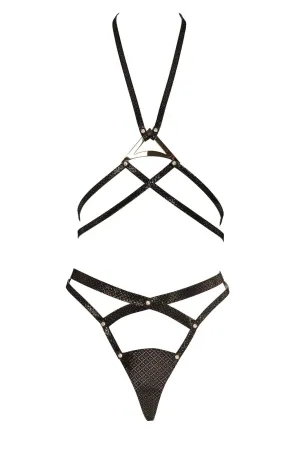 Lush Black & Gold Harness Set